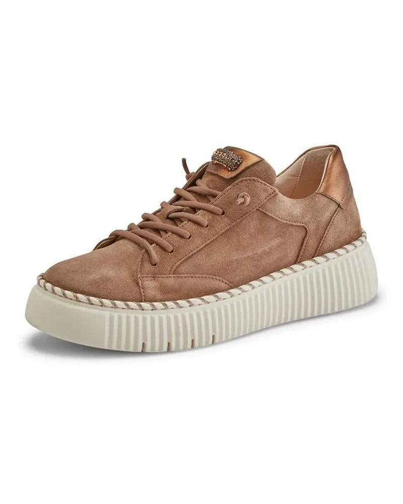Gabor Sneaker  beige Beige