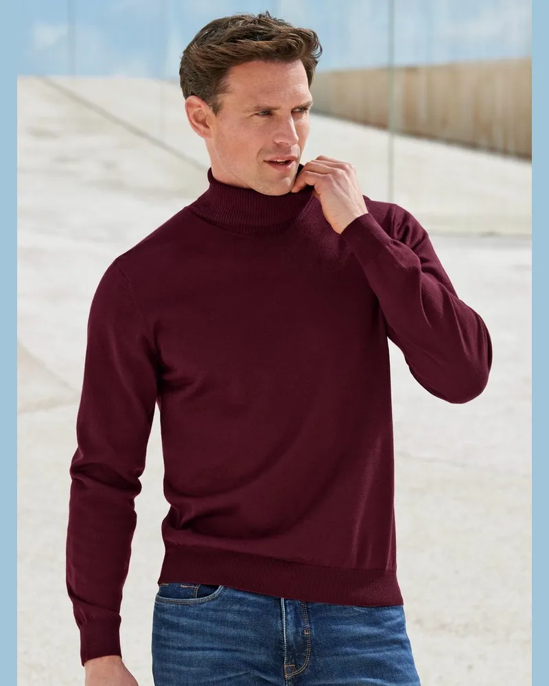 Peter Hahn Rollkragenpullover Herren » Kaufen Sie Produkte