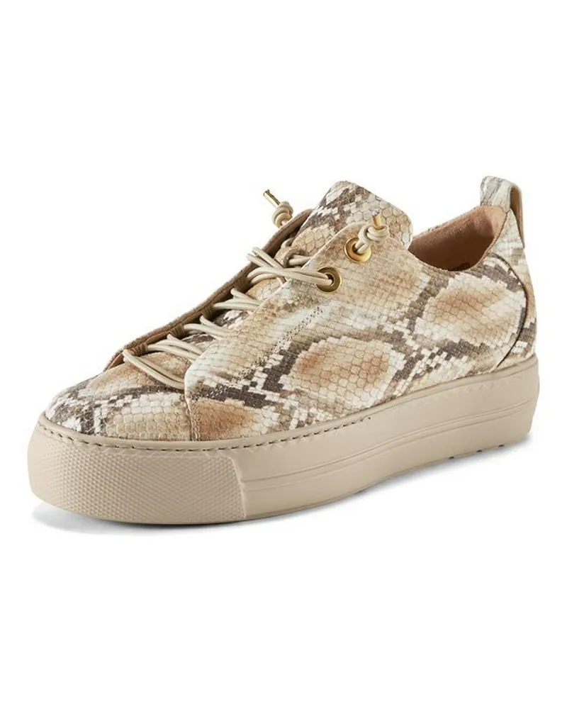 paul green Sneaker  beige Beige