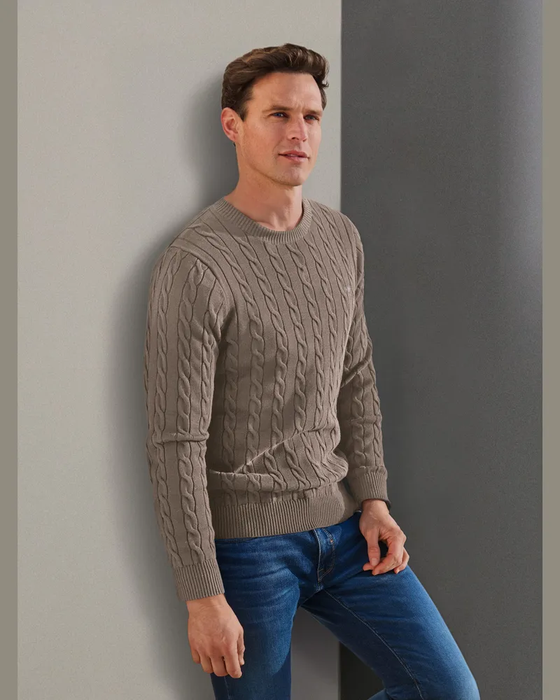 Gant Rundhals-Pullover  braun Braun