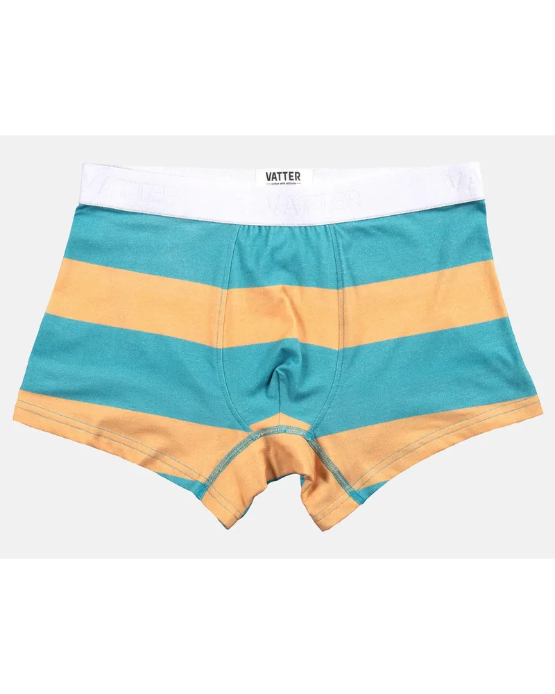 Vatter Trunk Short "Tight Tim" Block Stripes Aqua