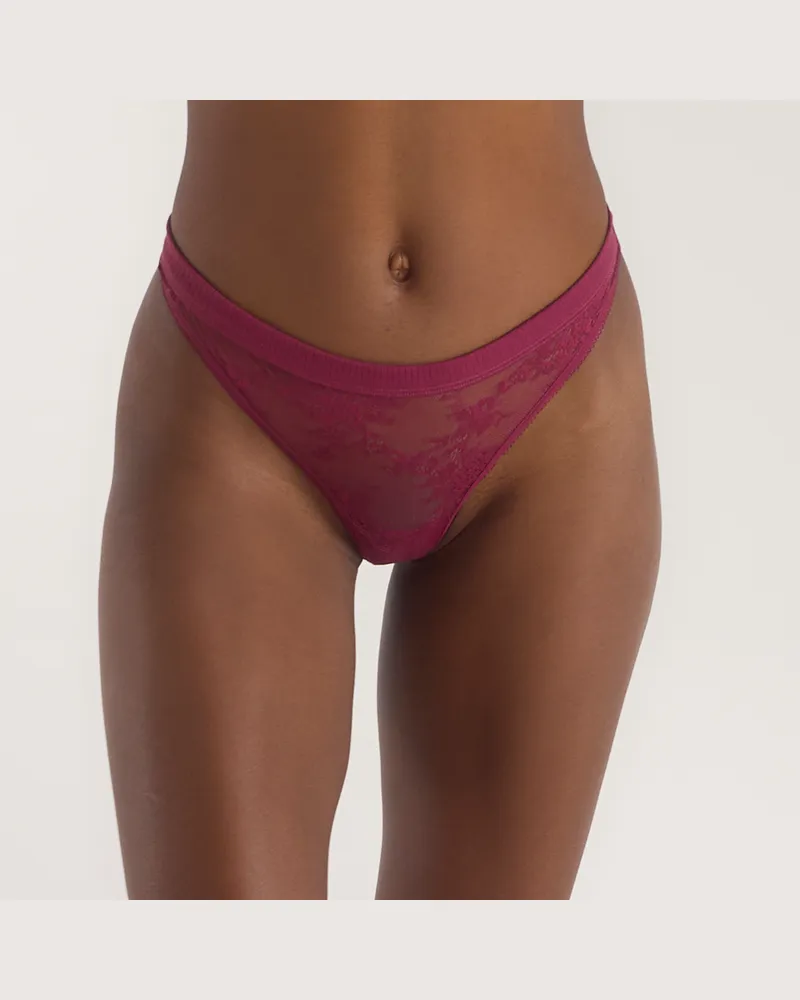 Lounge Lace Triangle Thong - Maroon - XS Maroon