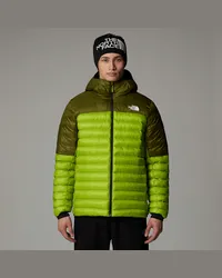 The North Face Terra Peak Kapuzenjacke male Meadow