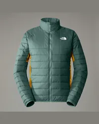 The North Face Mikeno Synthetische Isolierjacke Dark Sage/arrowwood Yellow/tnf Black male Dark