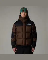 The North Face Himalayan Baltoro Jacke Smokey Brown-tnf Black