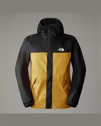 The North Face Lfs Shelljacke Arrowwood Yellow-tnf Black