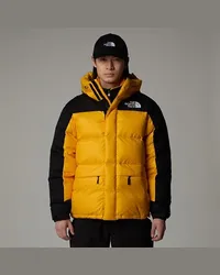 The North Face Himalayan Daunenparka Summit -tnf Black Gold