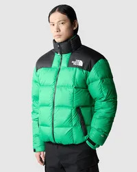 The North Face Lhotse Daunenjacke male Optic