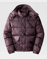 The North Face 71 Sierra Kurze Daunenjacke male Fawn