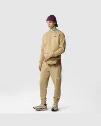 The North Face Nse Light Jogginghose male Khaki