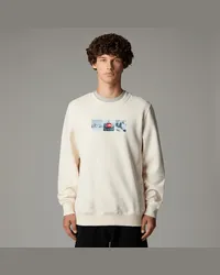 The North Face Expedition System Sweatshirt Mit Grafik male White