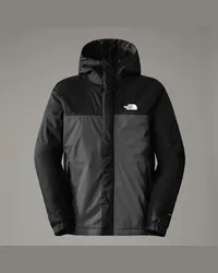 The North Face Isolierte Shelljacke male Asphalt