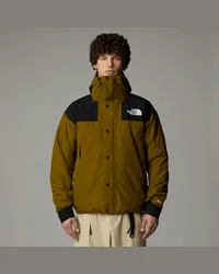 The North Face Gore-tex® Mountain Jacke male Moss