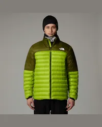 The North Face Terra Peak Jacke male Meadow