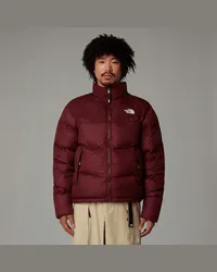 The North Face Saikuru Jacke male Alpine