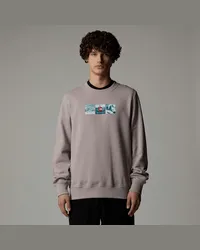 The North Face Expedition System Sweatshirt Mit Grafik male Moonstone