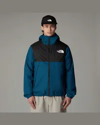 The North Face Mountain Q Jacke male Midnight