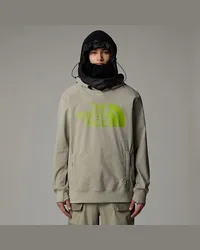 The North Face Tekno Logo Kapuzenpulli Clay Grey