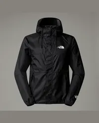 The North Face Seasonal Mountain Jacke male Tnf