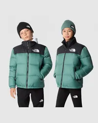 The North Face 1996 Retro Nuptse Jacke Für Jugendliche Dark Sage/tnf Black male Dark