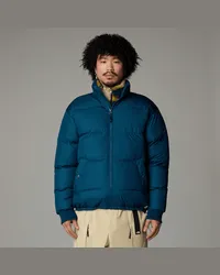 The North Face Paralta Pufferjacke Mit Daunen male Midnight