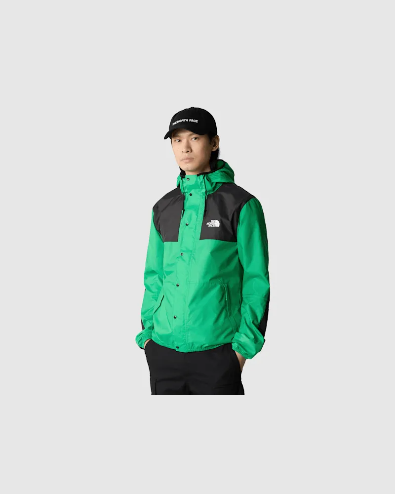 The North Face Seasonal Mountain Jacke male Optic