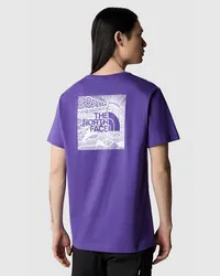 The North Face Redbox Celebration T-shirt male Tnf