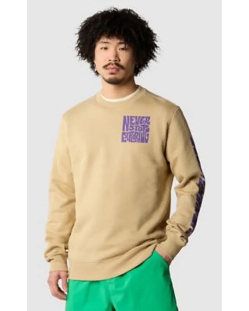 The North Face Mountain Play Pullover Khaki