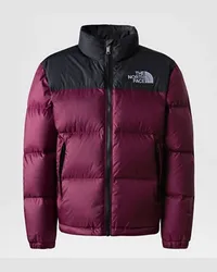 The North Face 1996 Retro Nuptse Jacke Für Jugendliche Boysenberry