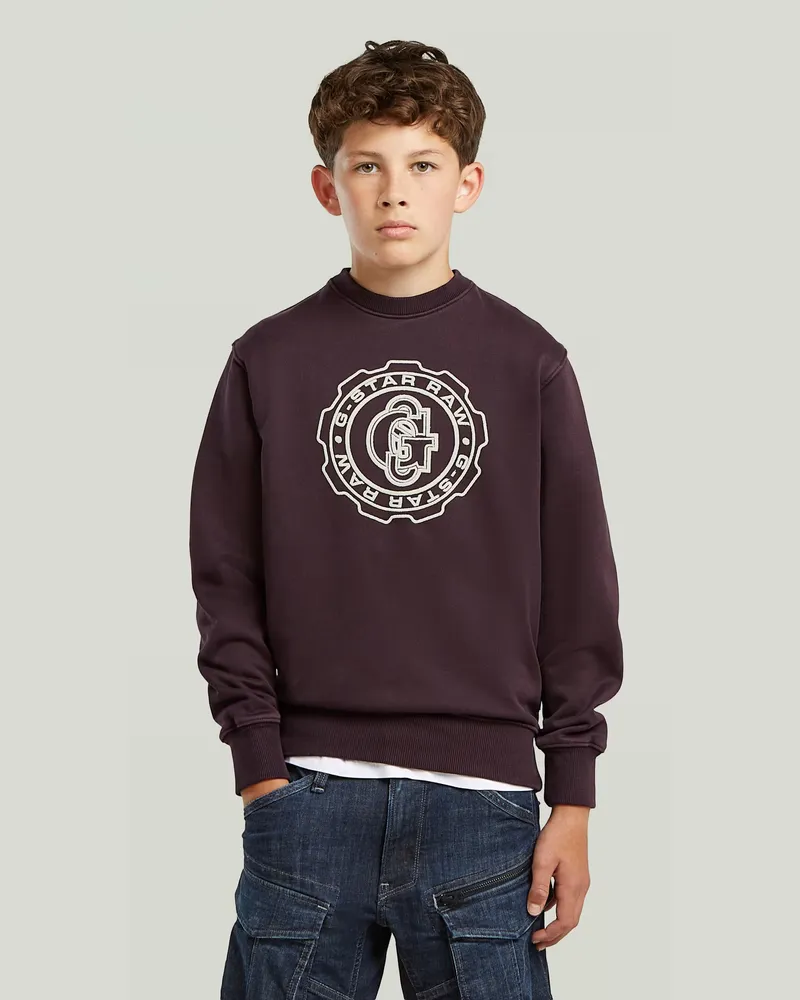 G-STAR RAW Boys ALD Crew Sweatshirt - Braun - jungen Braun