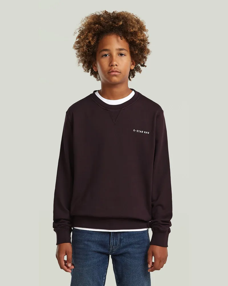 G-STAR RAW Boys Premium Core Sweatshirt - Braun - jungen Braun