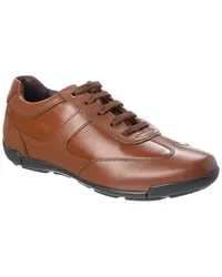 Geox Edgware Leather Sneaker Brown