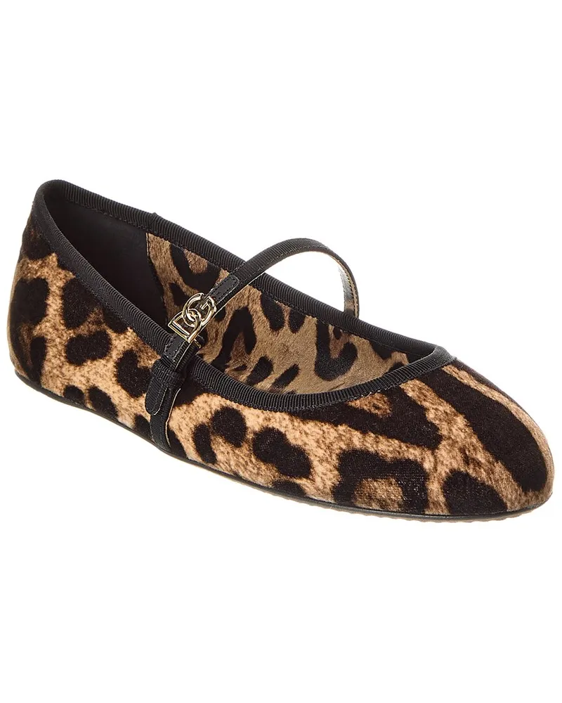Dolce & Gabbana DG Logo Velvet Ballet Flat Brown