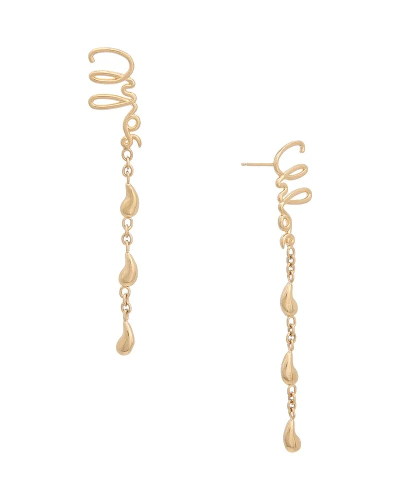 Chloé Iconic Dangling Earrings Nocolor