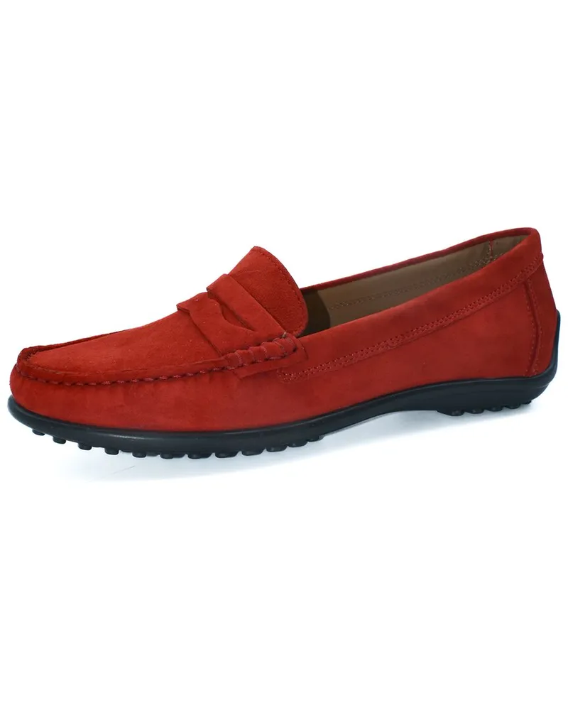 The FLEXX Winter Loafer Suede Loafer Nocolor