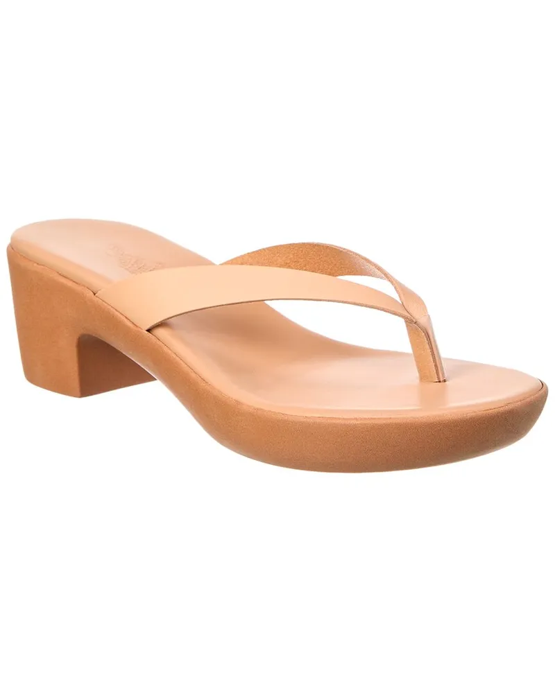 Ancient Greek Sandals Eva Comfort Clog Nocolor