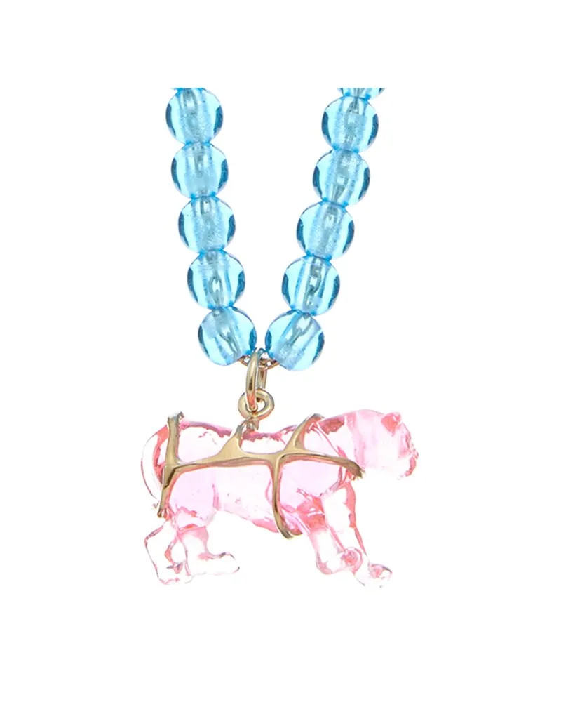 Dior Necklace Nocolor