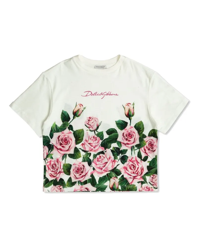 Dolce & Gabbana T -Shirt Multicolour