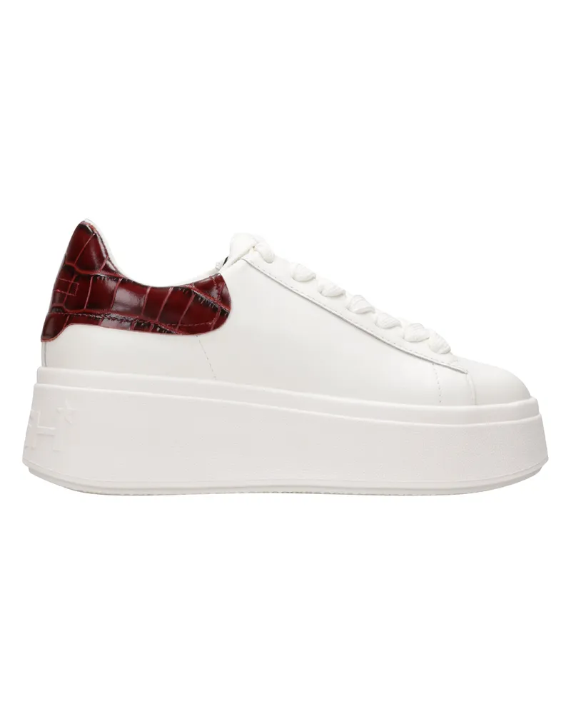 ash Asche-Sneaker Bianco+bordeaux