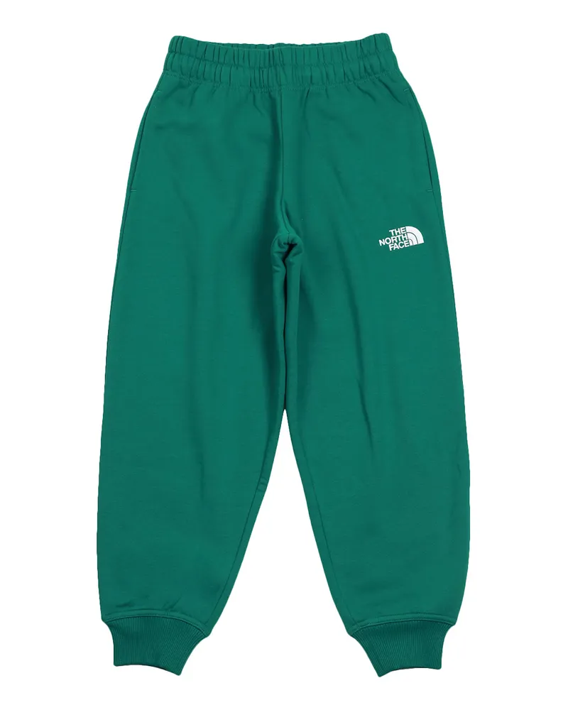 The North Face Die Nord -Gesichtshose grün Green