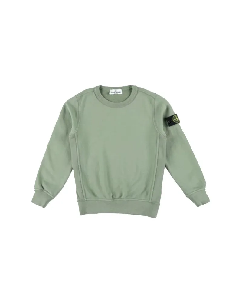Stone Island Sweatshirt mit "Patch" -Logo Green