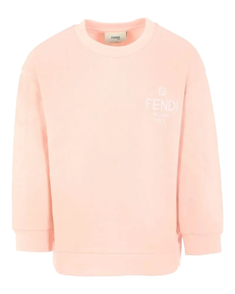 Fendi Sweatshirt Multicolour