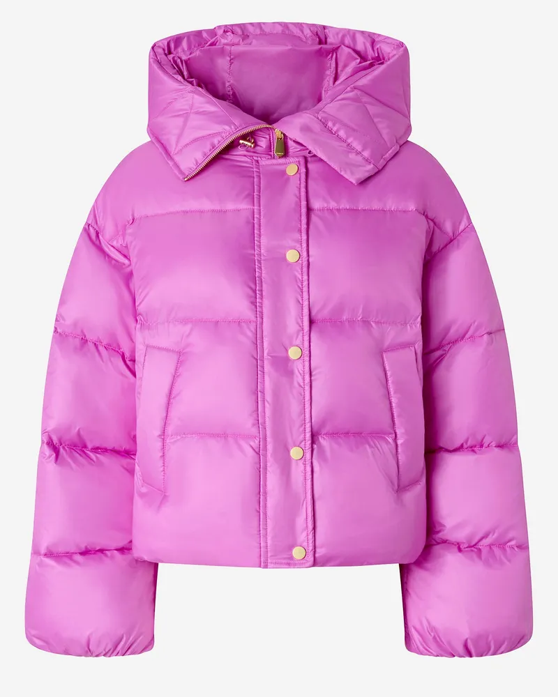 Pinko Pink Purple