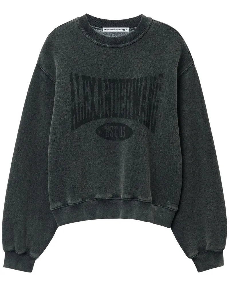 Alexander Wang Graphic Crewneck Sweatshirt 