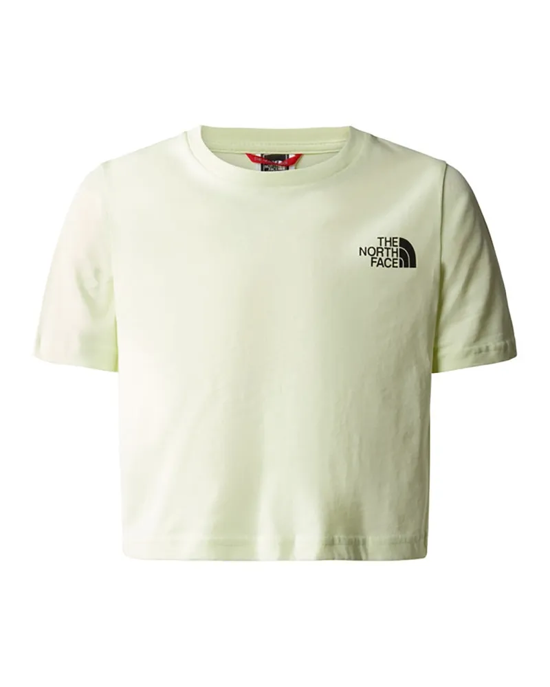 The North Face Die Nordflächenernte Einfacher Kuppel -T -Shirt Green