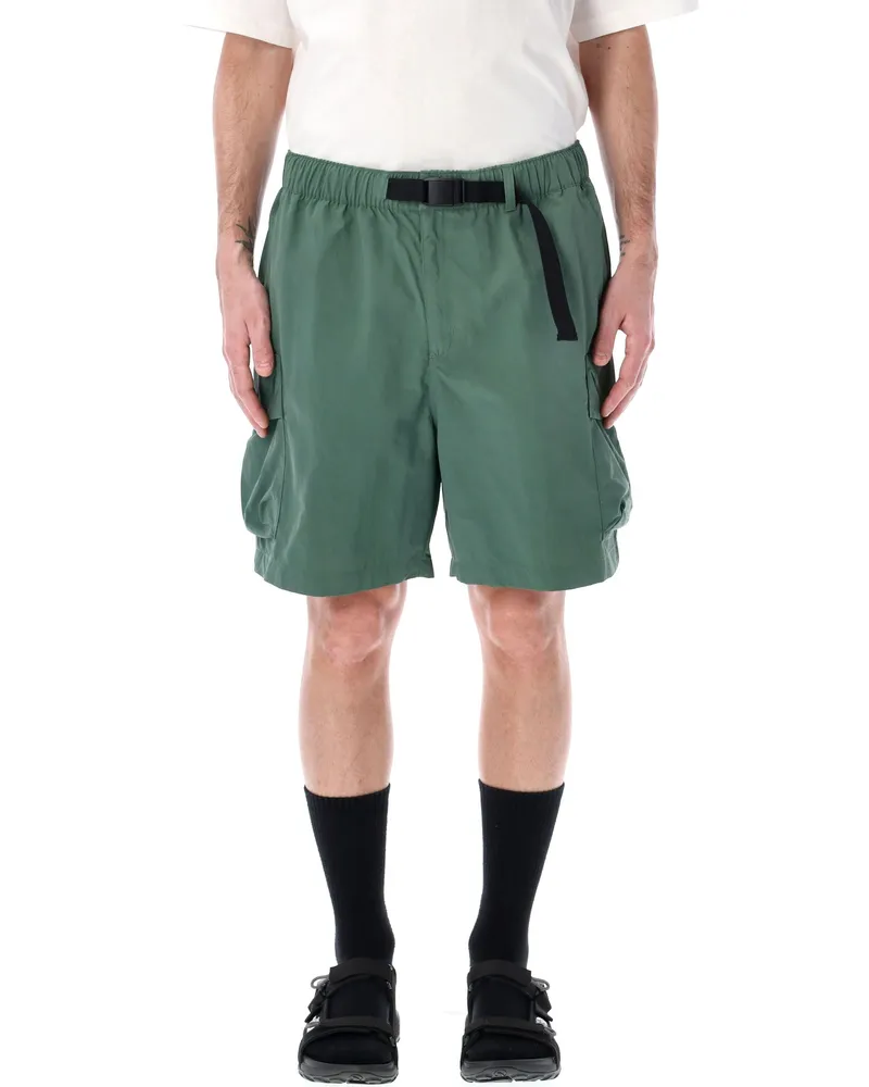 The North Face Die North Face -Shorts grün Green