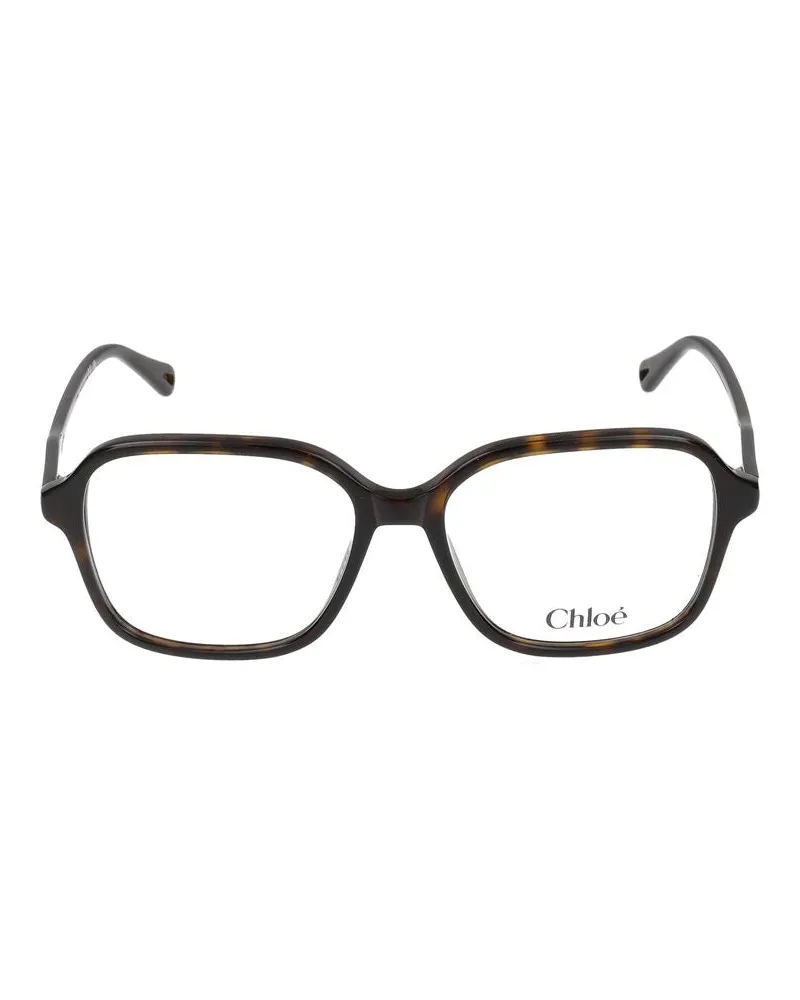 Chloé Sonnenbrille  Ch0313 O 002 Havana Havana Transpa /16/140 002