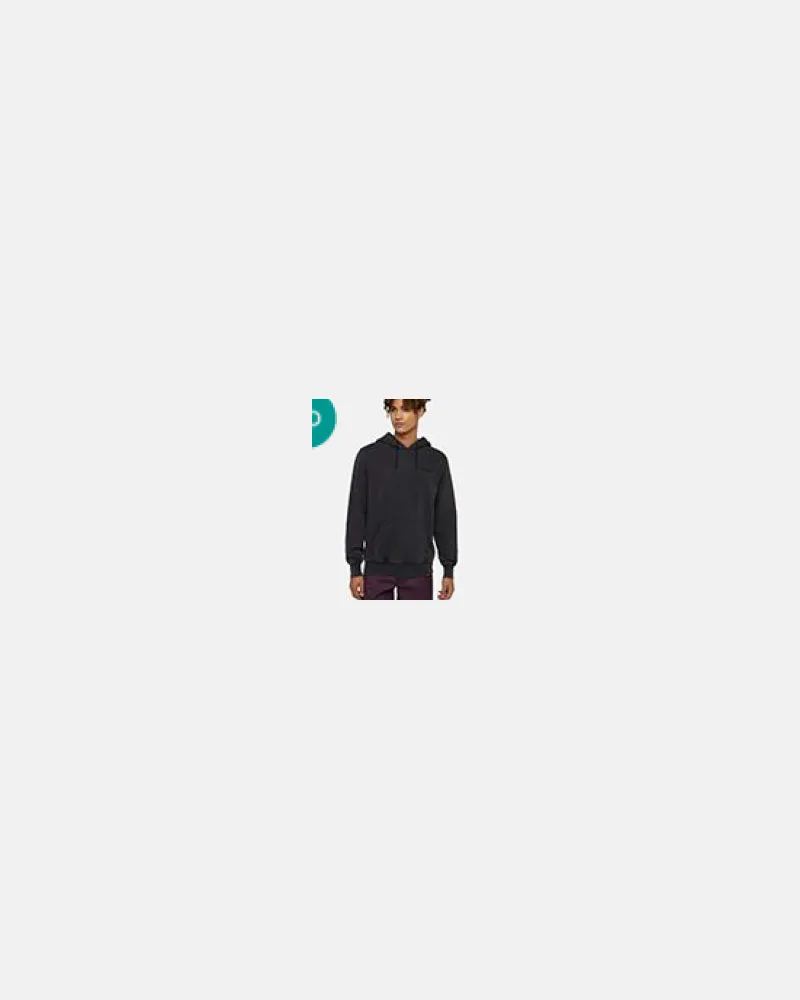 Dickies Sweaters schwarz Black