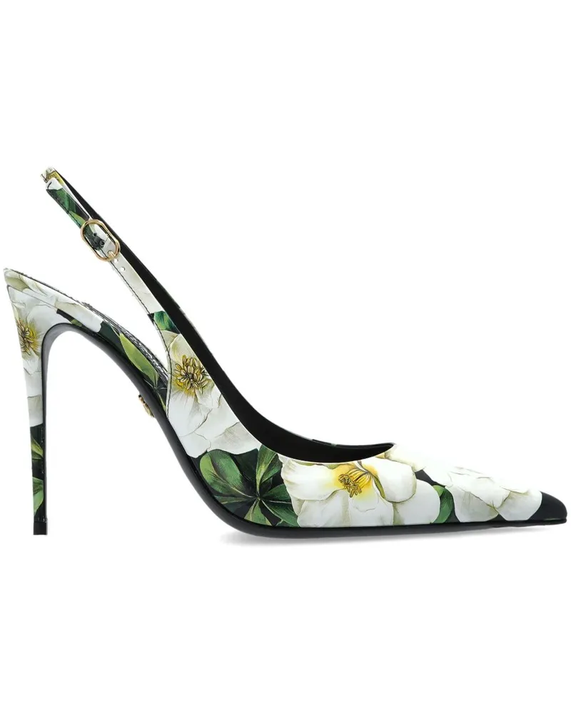 Dolce & Gabbana  Black