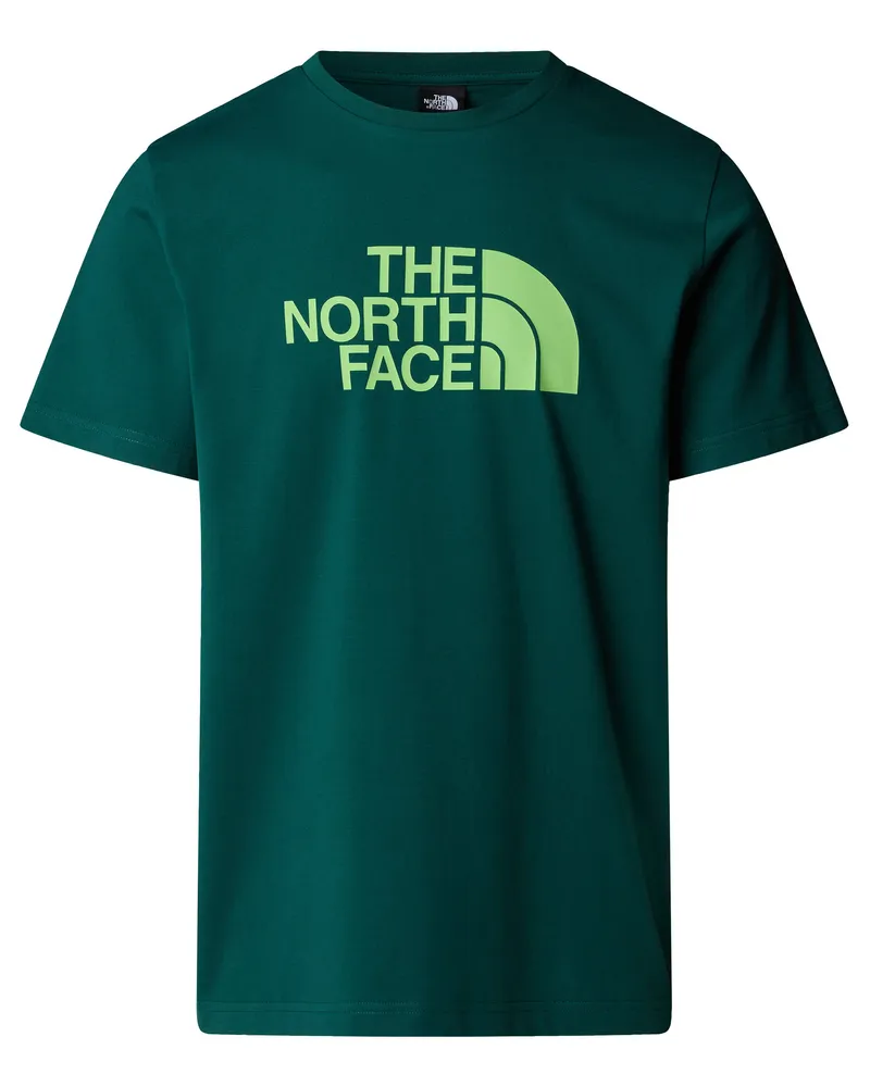 The North Face Die Nordfläche Green